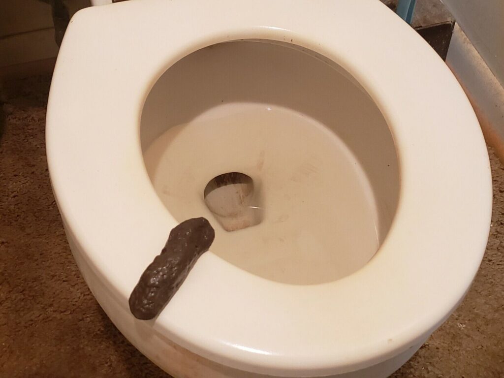 Toilet Bowl With A Piece Of Feces Resting On The Rim, Illustrating Sanitation And Hygiene Issues In A Bathroom Setting.